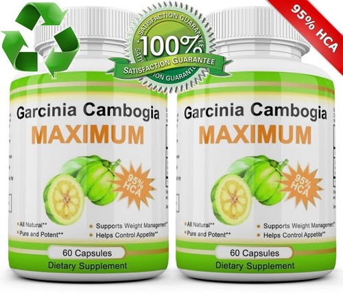 2X Pack GARCINIA CAMBOGIA 95% HCA 3000mg Daily Weight Loss Diet Pills Fat Burner