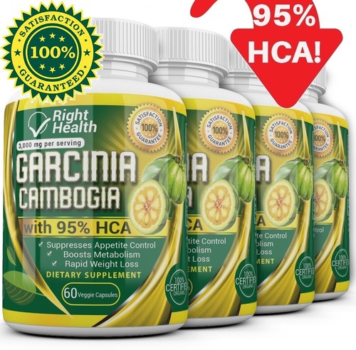 4 x Bottles 240 Capsules 3000mg Daily GARCINIA CAMBOGIA HCA 95% Weight Loss Diet